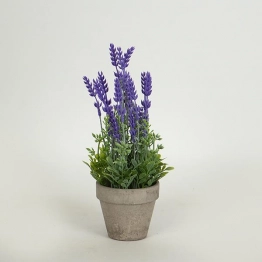 Γλαστράκι Χάρτινη Πούλπα Με Φυτό 27εκ. Γκρι-Μωβ ESTHETI 758-14030