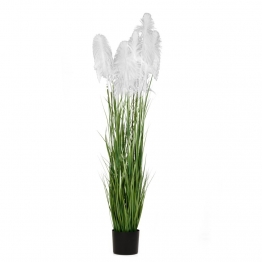 Φυτό Pampas Grass Λευκό iliadis Φ23x220εκ. 85075