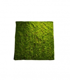 Επιφάνεια Βρύα Πράσινη 100x100εκ. MSA 20-99-291