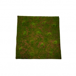 Επιφάνεια Βρύα Πράσινη 100x100εκ. MSA 20-95-087