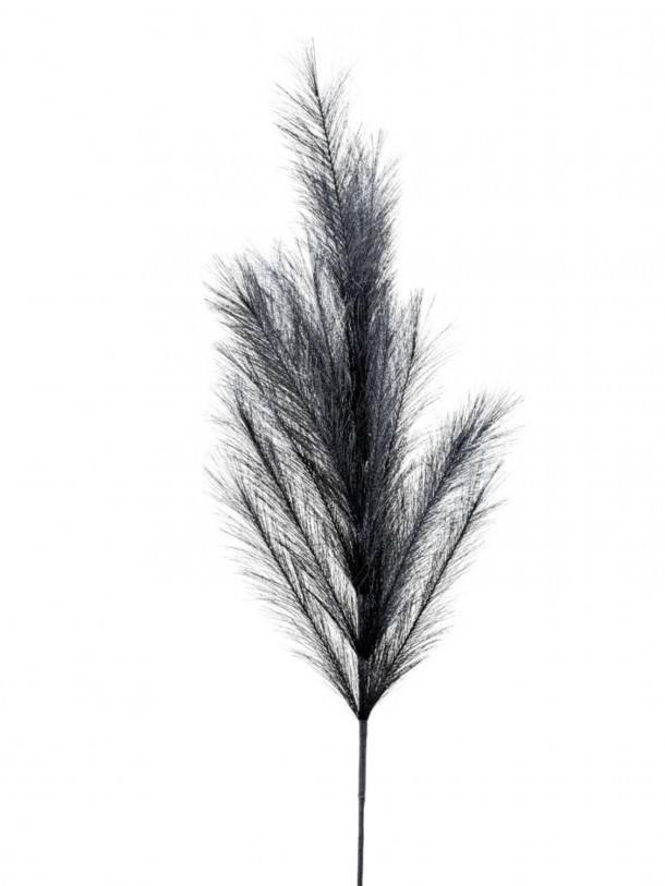 Κλαδί Pampas Μαύρο 110εκ. Zen Collection 25.32.51784