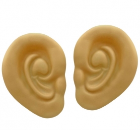 Ζεύγος Αυτιά 