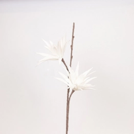 Κλαδί Με Λουλούδι Το Αστέρι Της Βηθλεέμ Foam 30x93εκ. Λευκό ESTHETI 816-20057