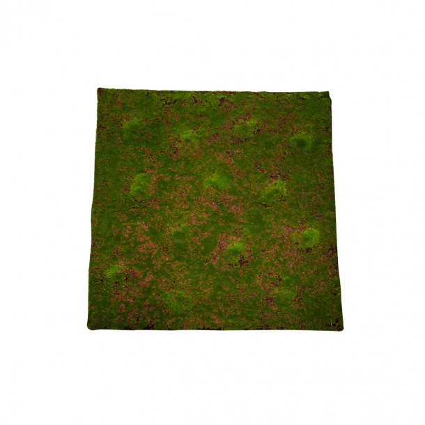 Επιφάνεια Βρύα Πράσινη 100x100εκ. MSA 20-95-087