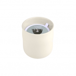 Αρωματικό Κερί Whispers of Sage 289gr Estia 04-36485