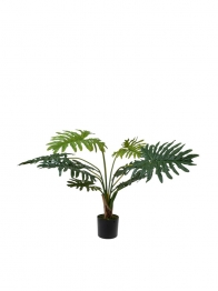 Διακοσμητικό Φυτό Φιλόδεντρο 120εκ. Zen Collection 25.31.51769