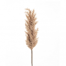 Κλαδί Με Pampas Καφέ 100εκ. iliadis 84722
