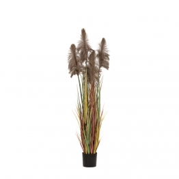 Φυτό Με 5 Pampas Grass Καφέ 72εκ. iliadis 85071