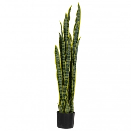 Φυτό Με 30 Φύλλα Sansevieria Πράσινο 115εκ. iliadis 89788