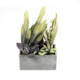 Γλαστράκι Με Παχύφυτο Πράσινο 38εκ. ESPIEL MAP234K4