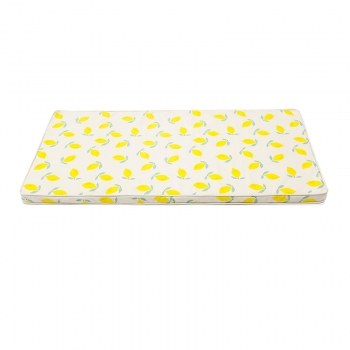 Στρωματάκι Δαπέδου Lemon 120x60x4εκ. Baby to Love BTL303440