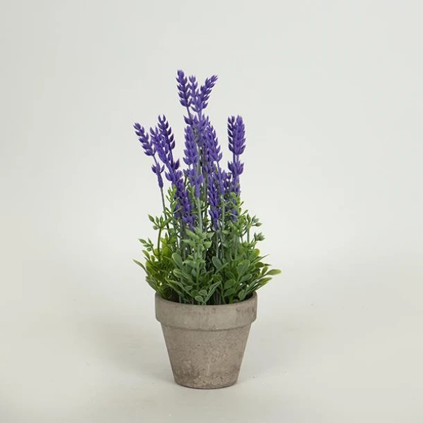 Γλαστράκι Χάρτινη Πούλπα Με Φυτό 27εκ. Γκρι-Μωβ ESTHETI 758-14030