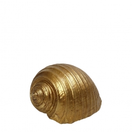 Διακοσμητικό Επιτραπέζιο Κοχύλι Polyresin Χρυσό ESPIEL 11,5x9x6,5εκ. MT2731K4