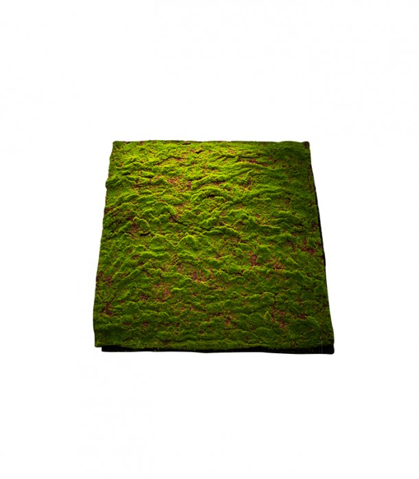 Επιφάνεια Βρύα Πράσινη 100x100εκ. MSA 20-99-292