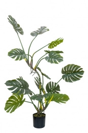 Διακοσμητικό Φυτό Monstera 155εκ. Zen Collection 24.29.49969