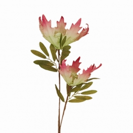 Κλαδί Με Λουλούδια Πράσινο-Ροζ Art Et Lumiere 80εκ. 09686