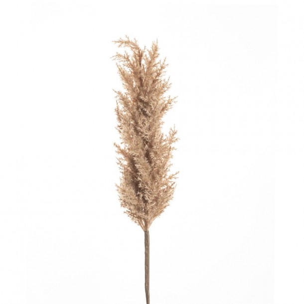 Κλαδί Με Pampas Καφέ 100εκ. iliadis 84722