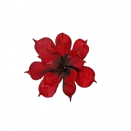 Λουλούδι Κοραλί Art Et Lumiere 18εκ. 07066