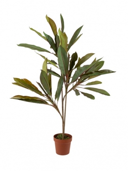 Διακοσμητικό Φυτό Κορδυλίνη 110εκ. Zen Collection 25.31.51776