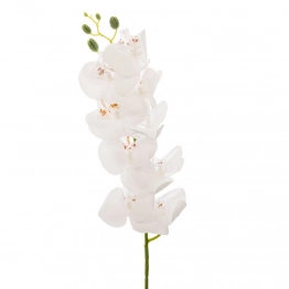 Κλαδί Ορχιδέα Λευκή 95εκ. iliadis 90019