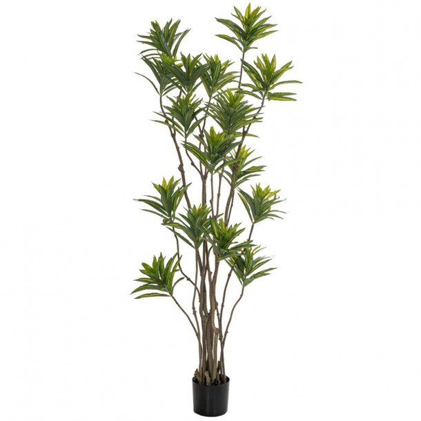 Διακοσμητικό Φυτό Bamboo Πράσινο 180εκ. iliadis 85117
