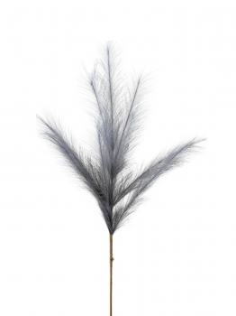 Κλαδί Pampas Γκρι 80εκ. Zen Collection 25.32.51788