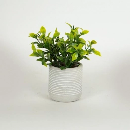 Γλαστράκι Χάρτινη Πούλπα Με Φυτό 17εκ. Γκρι-Πράσινο ESTHETI 758-14018