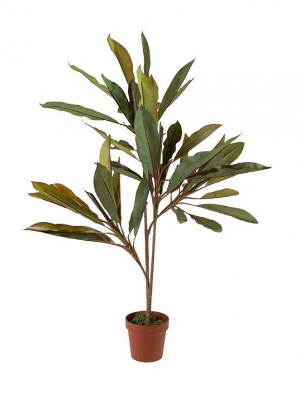 Διακοσμητικό Φυτό Κορδυλίνη 110εκ. Zen Collection 25.31.51776