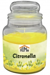 Αρωματικό Κερί Citronella Σε Βάζο 11x14,5εκ. Homie 37-449