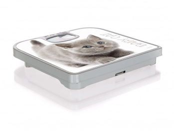 Ζυγαριά Μπάνιου Αναλογική Banquet BQ66132012