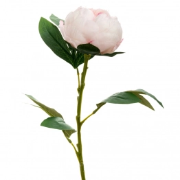 Κλαδί Παιώνια Ροζ 66εκ. iliadis 89811