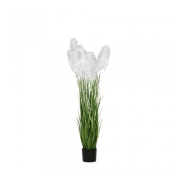 Φυτό Pampas Grass Λευκό iliadis Φ20x180εκ. 85074