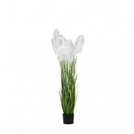 Φυτό Pampas Grass Λευκό iliadis Φ20x180εκ. 85074