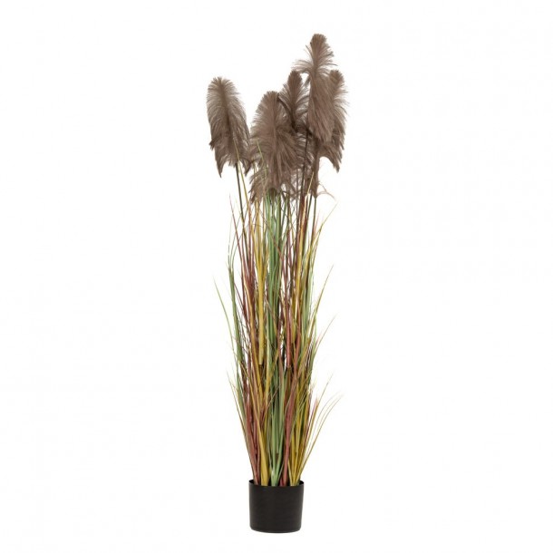 Φυτό Pampas Grass Καφέ iliadis Φ23x220εκ. 85072