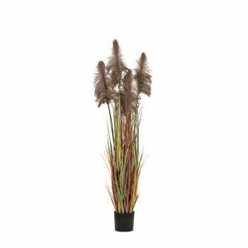 Φυτό Με 5 Pampas Grass Καφέ 72εκ. iliadis 85071