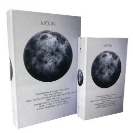 Διακοσμητικό Κουτί Βιβλίο Σετ 2τμχ Ξύλινο Λευκό-Μαύρο ESPIEL 30x20x6,5εκ.-24x15x4,5εκ. BIB109