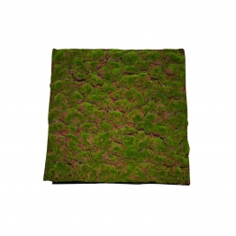 Επιφάνεια Βρύα Πράσινη 100x100εκ. MSA 20-99-024
