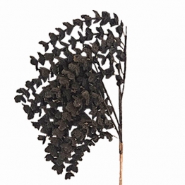 Κλαδί Με Λουλούδια Μαύρο Glitter Art Et Lumiere 90εκ. 09652