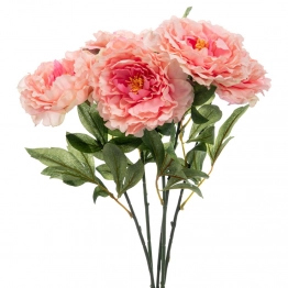 Μπουκέτο Με 5 Χρυσάνθεμα Ροζ 55εκ. iliadis 90187