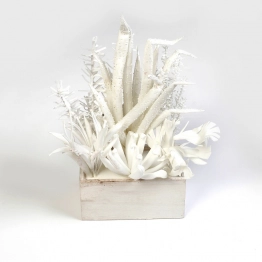 Γλαστράκι Με Παχύφυτο Λευκό 45εκ. ESPIEL MAP235K4