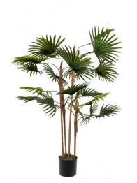 Διακοσμητικό Φυτό Φοίνικας 156εκ. Zen Collection 25.31.51768