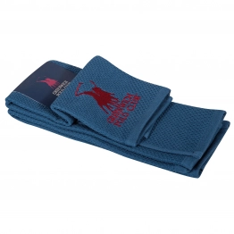 Σετ 2τμχ Πετσέτες Κουζίνας Βαμβακερές 40x60εκ. Essential 2801 Μπλε Greenwich Polo Club