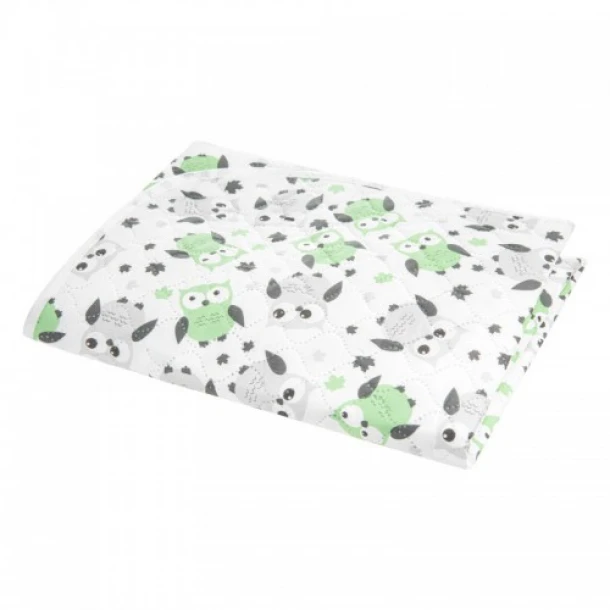 Αδιάβροχο Σελτεδάκι Peva 55x70εκ. Με Σχέδιο Owl Μέντα-Γκρι akuku A0258-Mint/grey