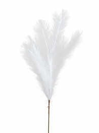 Κλαδί Pampas Κρεμ 80εκ. Zen Collection 25.32.51786