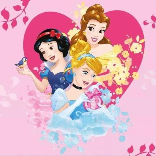 Λαβέτα 30×30εκ. Digital Print Princess 52 Disney Dimcol (Ύφασμα: Βαμβάκι 100%) – Disney – 2120512401505299
