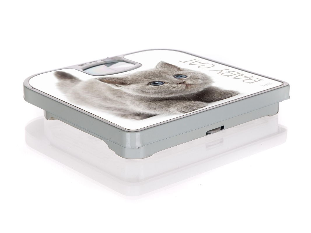 Ζυγαριά Μπάνιου Αναλογική Max Home BQ66132012 – Banquet – BQ66132012