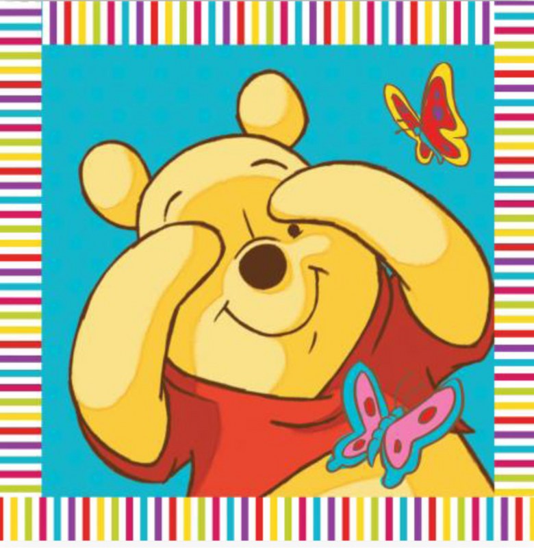 Λαβέτα-Μαγική Πετσέτα 30×30εκ. Digital Print Winnie 01 Disney Dimcol (Ύφασμα: Βαμβάκι 100%) – Disney – 2120512402000199