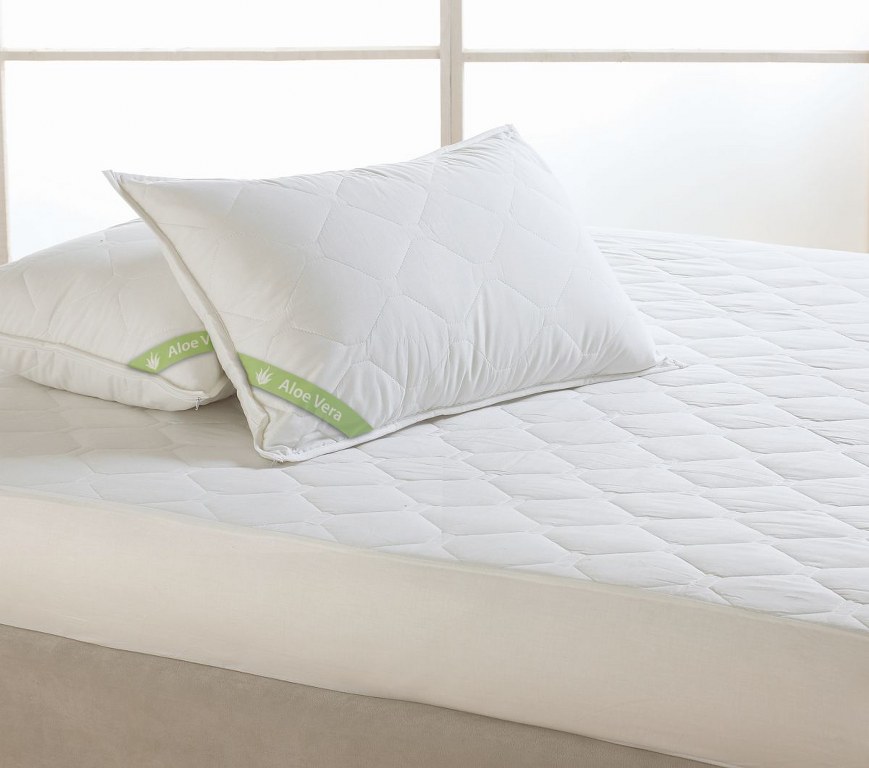 Ζεύγος μαξιλαροθήκες 50×70εκ. Palamaiki DORMIBENE ALOE VERA – Palamaiki – 5205857057688