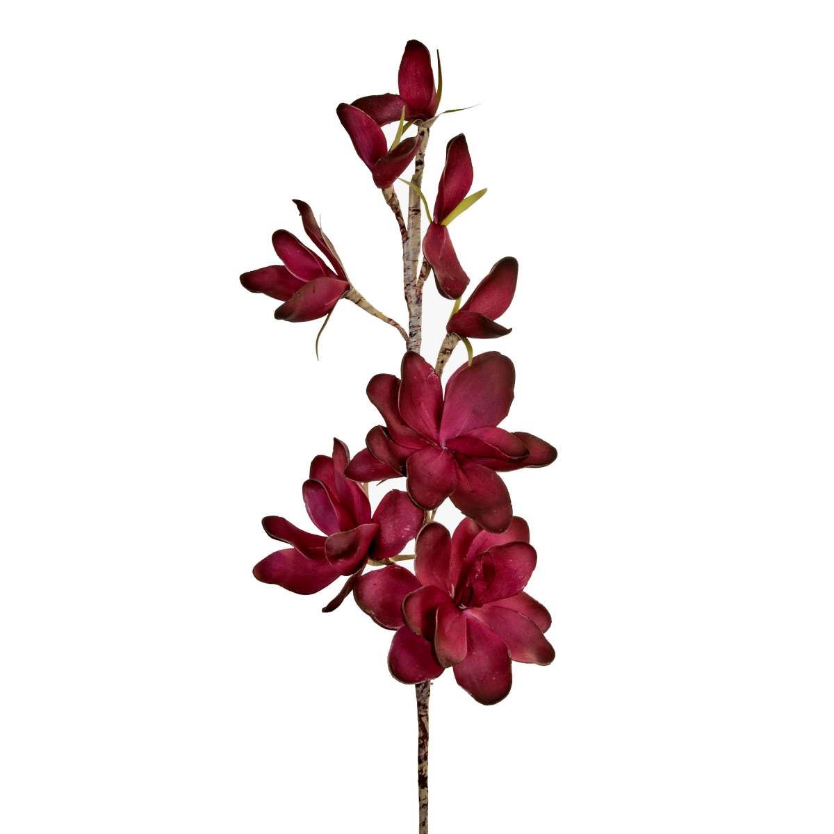 Κλαδί Με Λουλούδια Μπορντώ Art Et Lumiere 80εκ. 02719 (Χρώμα: Μπορντώ ) – Art Et Lumiere – lumiere_02719