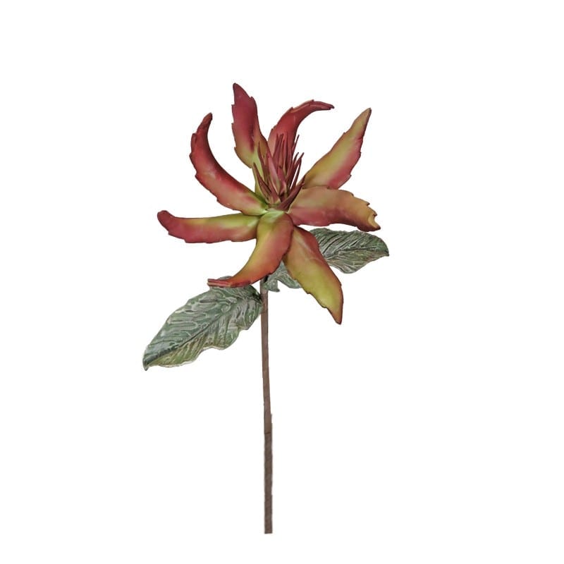 Κλαδί Με Λουλούδι Πράσινο-Μπορντώ Art Et Lumiere 100εκ. 00090 (Σετ 6 Τεμάχια) (Χρώμα: Μπορντώ ) - Art Et Lumiere - lumiere_00090 138915